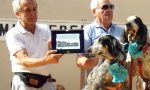 «Per chi ama il Premio Fedeltà del Cane»