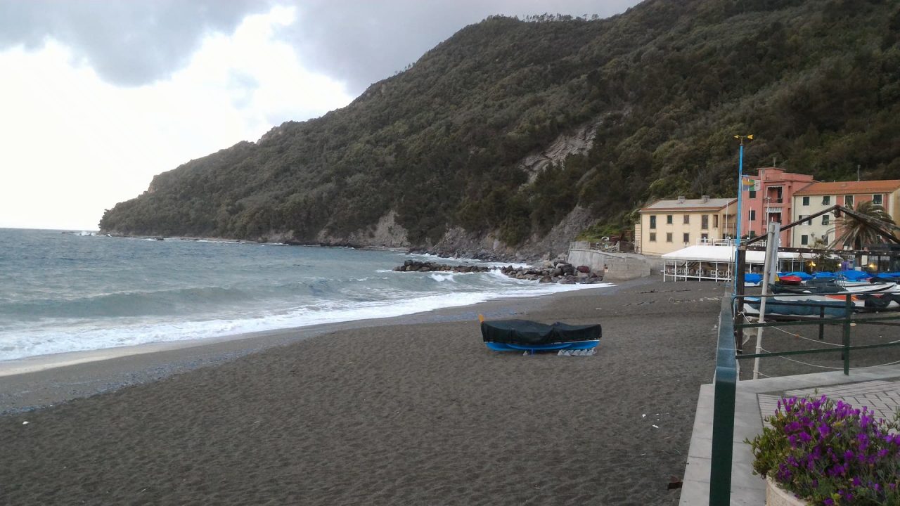 Topi, piccioni e zecche a Riva Trigoso, interrogazione di Stagnaro