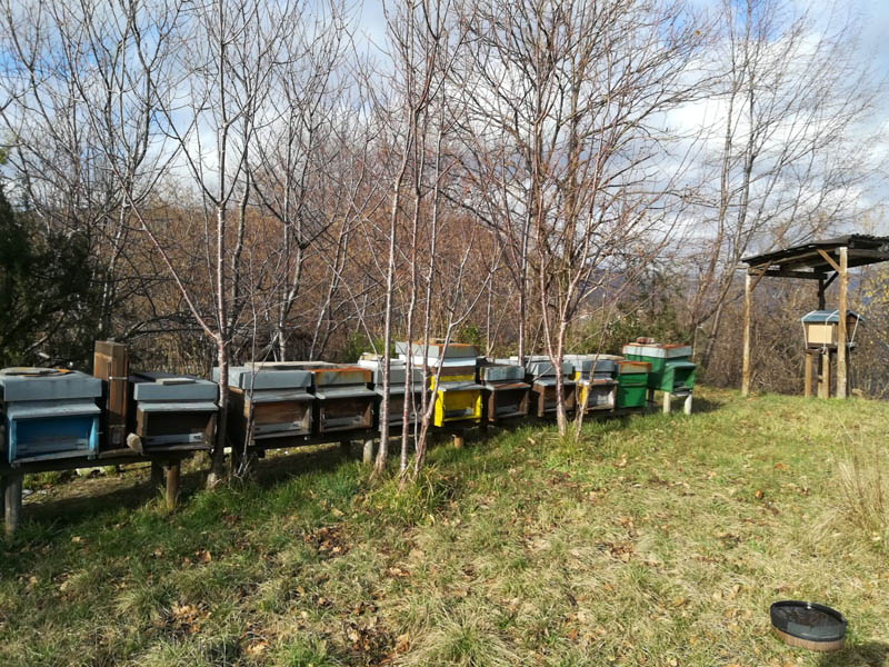 Il Parco dell’Aveto partecipa al  World Bee Day