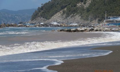Chiavari, pulizia spiagge: Di Capua ne approfitta per una frecciata a Levaggi