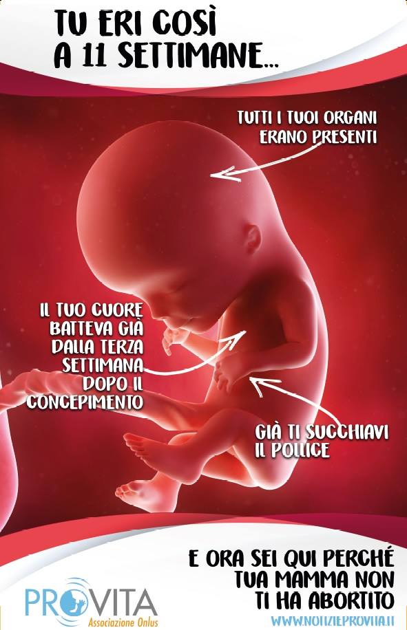 Manifesto contro l’aborto: interviene il Garante dei Diritti dell’Infanzia