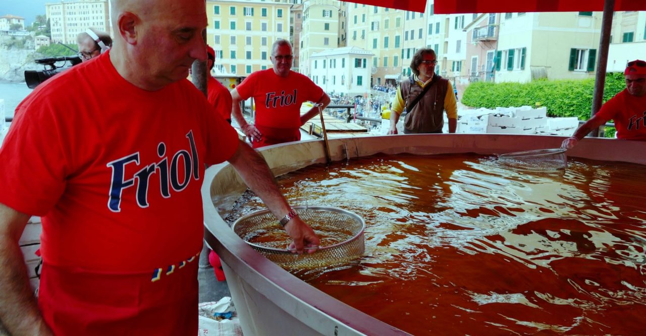 Sagra del Pesce di Camogli, il bando per il manifesto