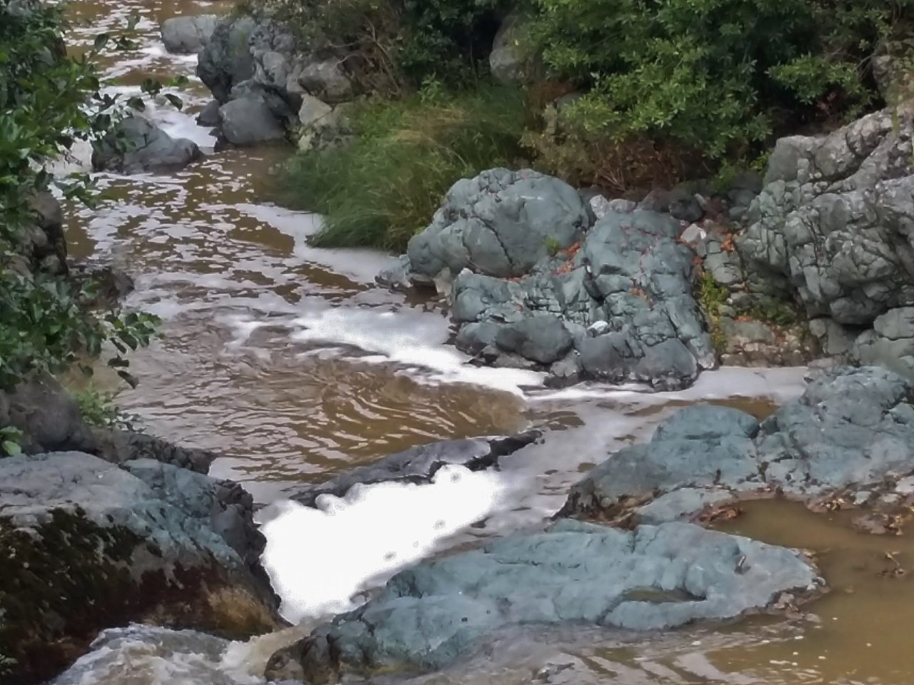 Sversamento nel Petronio, Giampedrone: «Analisi in corso»
