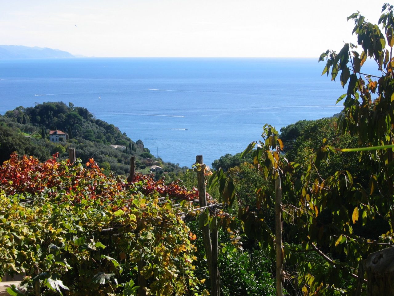 Al via il maggio dei Parchi della Liguria