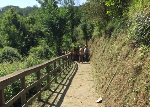 Al via la pulizia delle strade