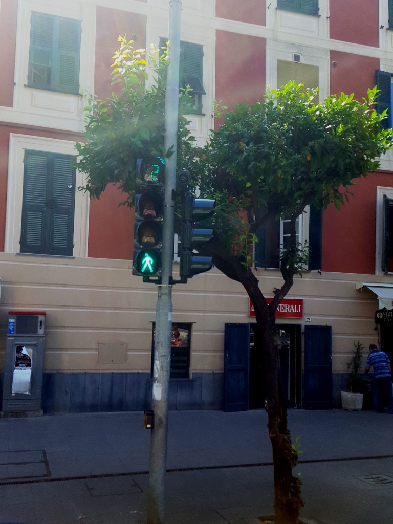 Nuovi semafori a tempo in viale Millo
