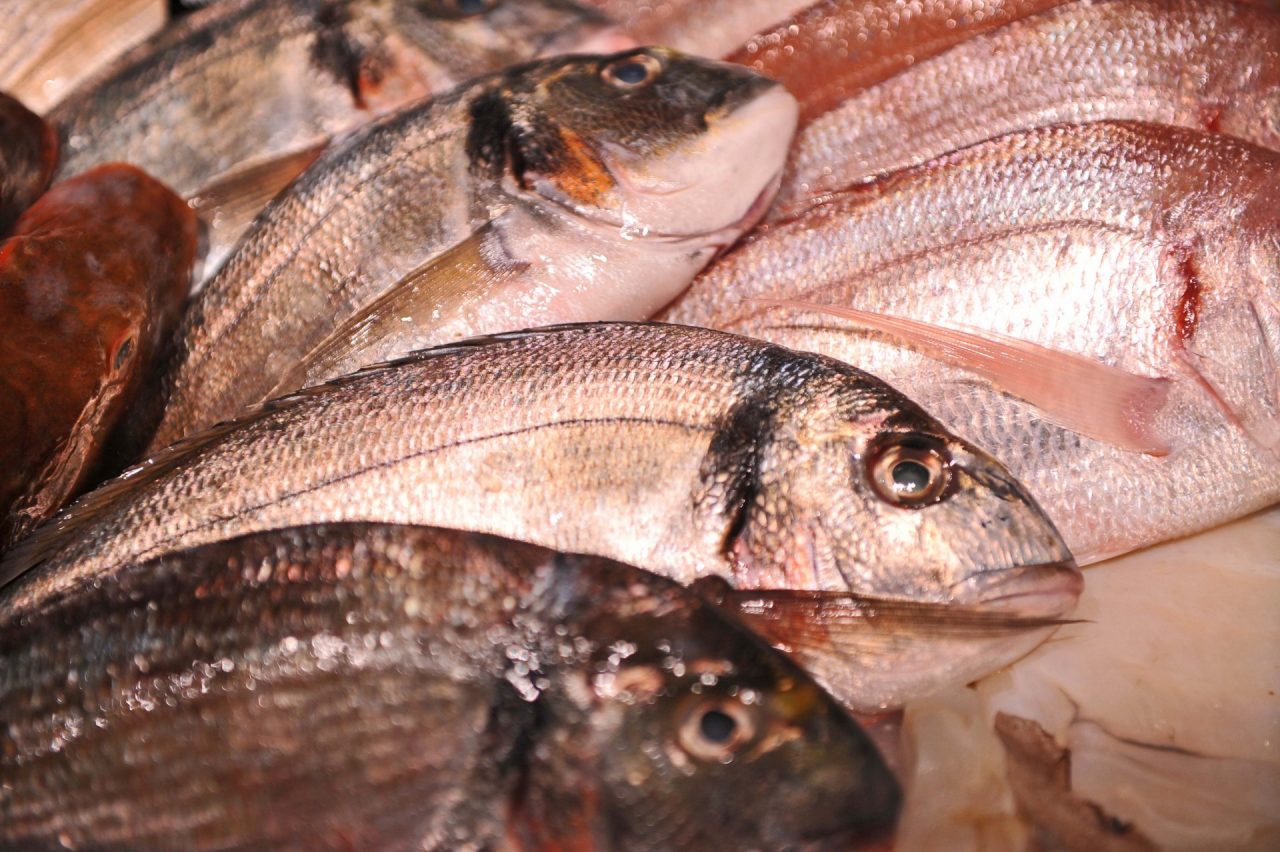 Con +8% pesce straniero, serve data di pesca per garantire massima tracciabilità