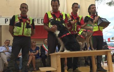 Dal Premio Fedeltà del cane alla sicurezza nel Parco