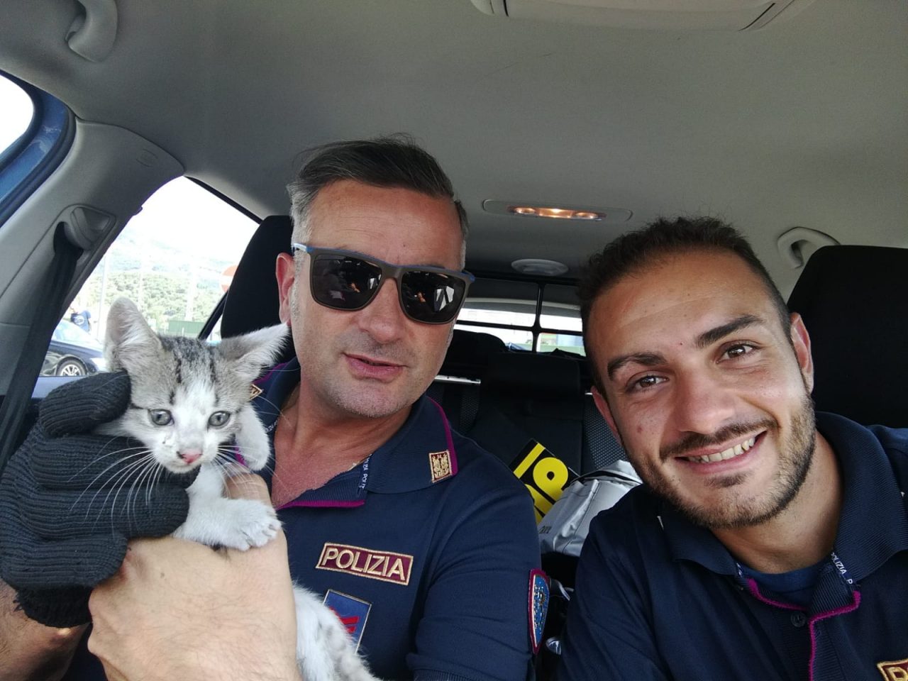 Trovano un gattino nel vano motore e chiamano la Polizia Stradale: da oggi Rombo è adottabile