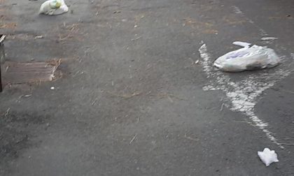 La protesta di un cittadino lavagnese: «La piazza che nessuno pulisce»