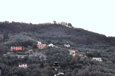 A Parazzuolo arriva un nuovo collegamento