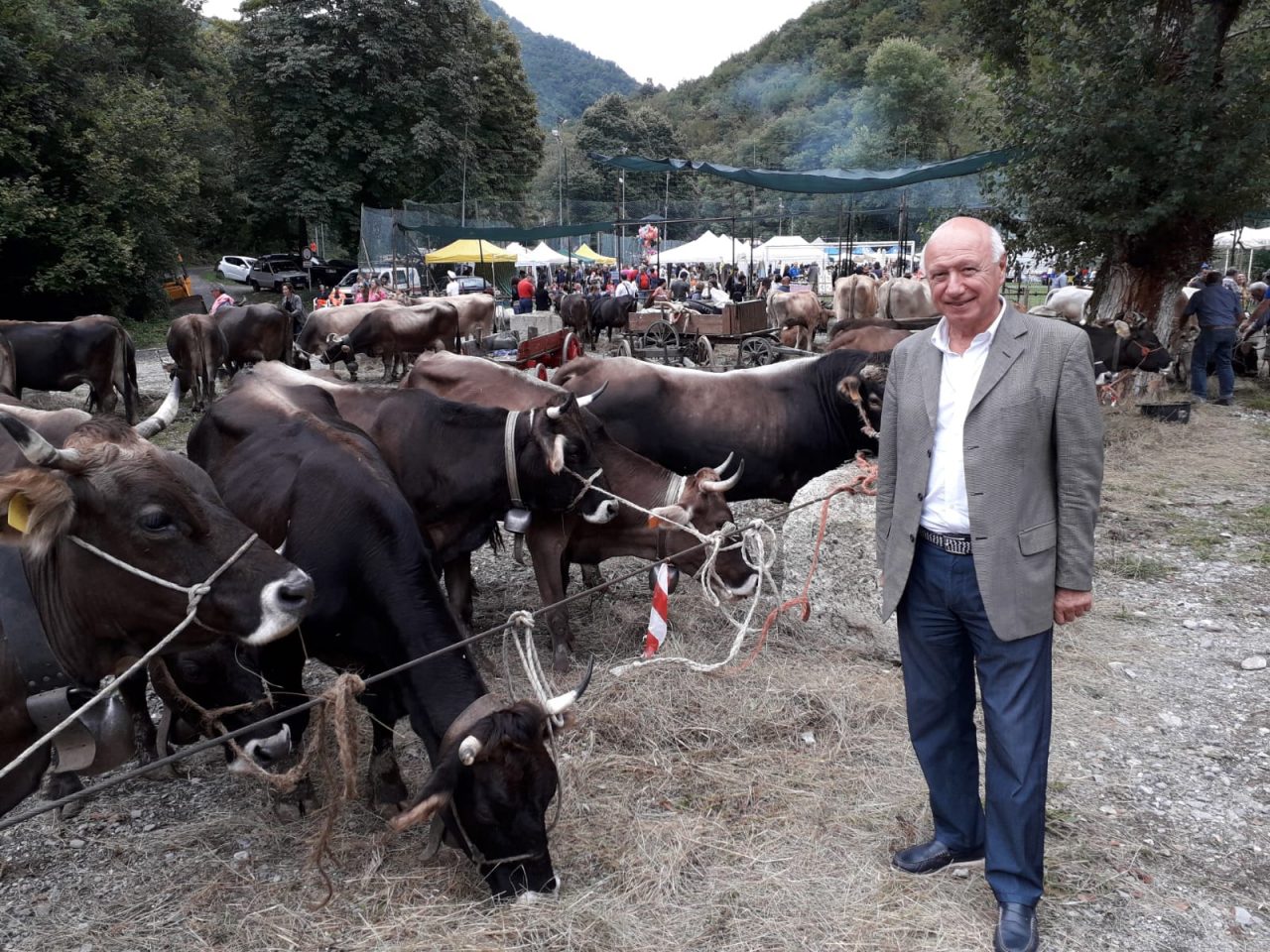 Boitano: «La mucca cabannina resta una risorsa importante per il rilancio dell’entroterra»