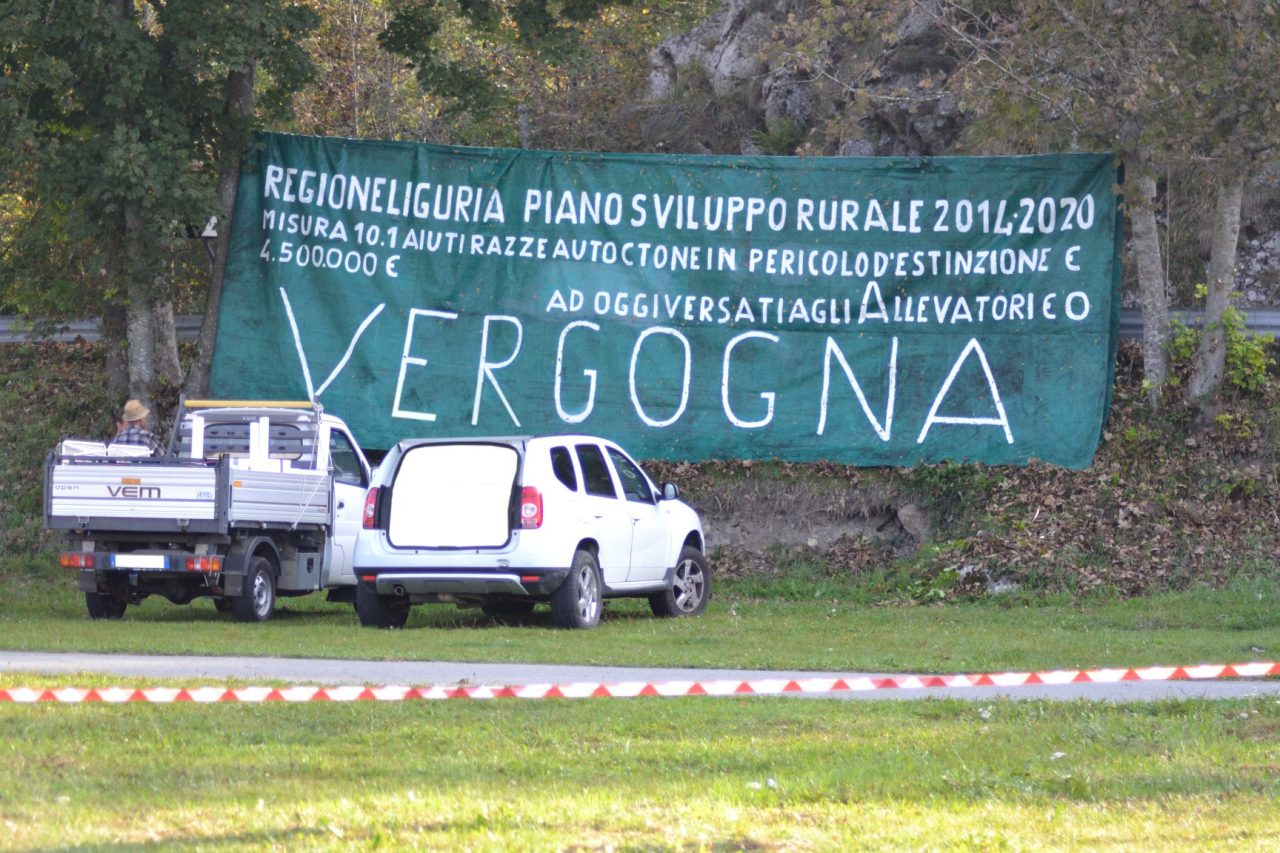 Finanziamenti a sostegno della mucca Cabannina, che fine hanno fatto? L’interrogazione