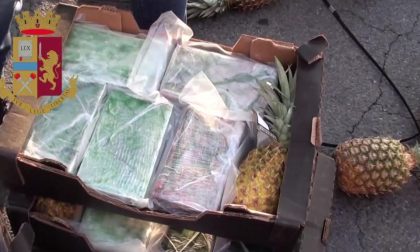 Droga nella casse di ananas dalla Costa Rica: tra i membri del "cartello" c'è anche un fontanino