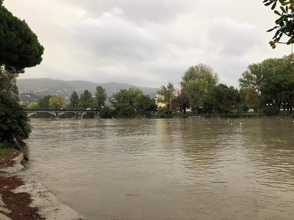 entella 3