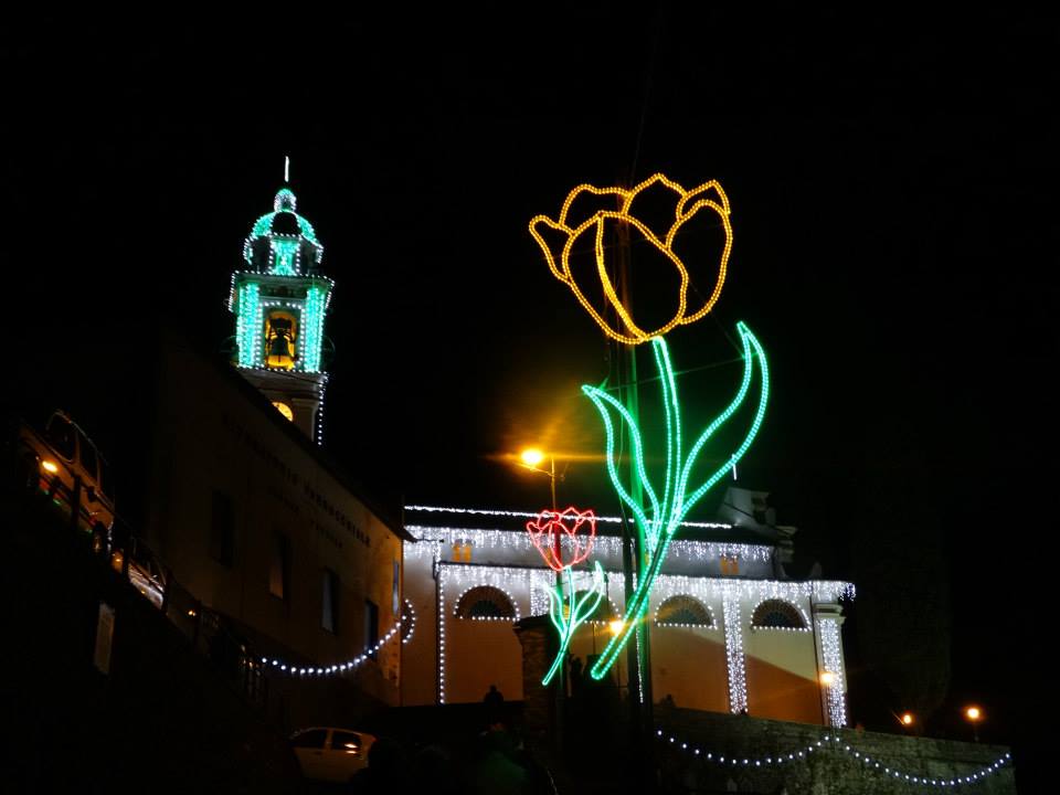 Ecco la patrona di Nostra Signora del Rosario