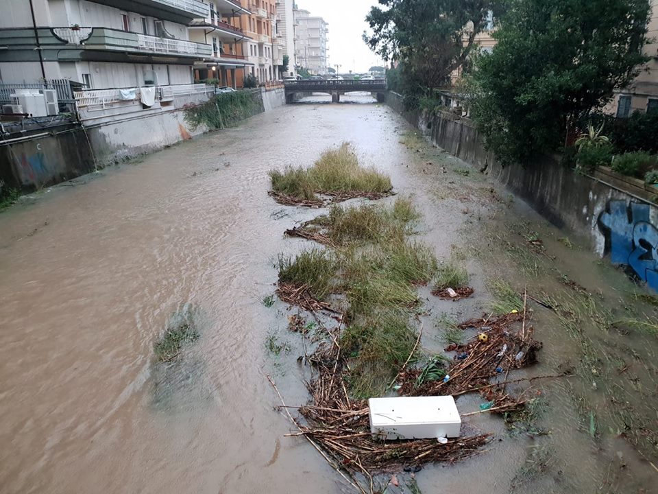 I progetti sul torrente degli studenti universitari