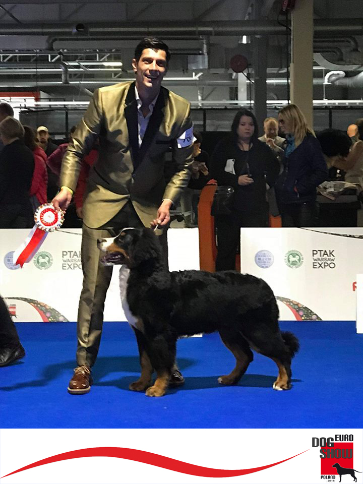 La Val di Vara trionfa nel campionato europeo cinofilo