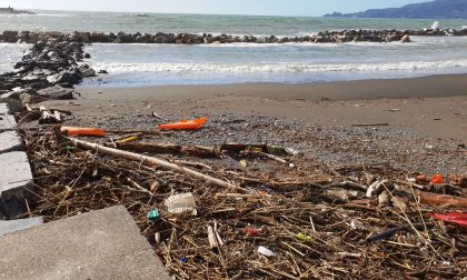 Riutilizzo del materiale ligneo in spiaggia, la proposta a Sestri
