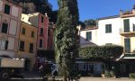 Portofino: l'albero di Natale è sbarcato in piazzetta