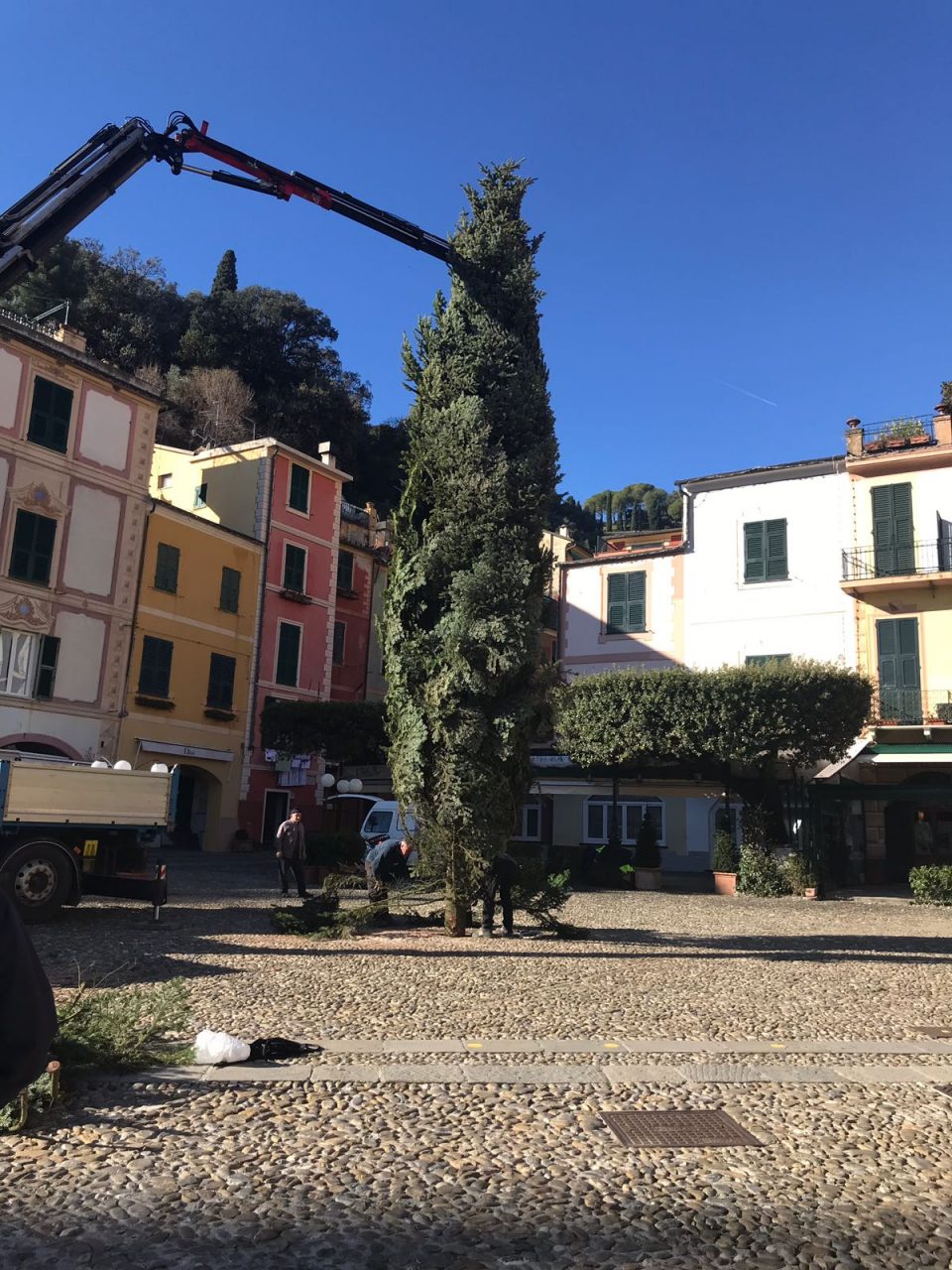 Portofino: l’albero di Natale è sbarcato in piazzetta