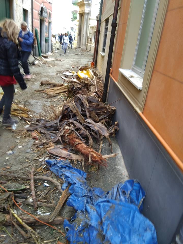 Sestri, a disposizione dei cittadini la legna scaricata a riva dalle mareggiate