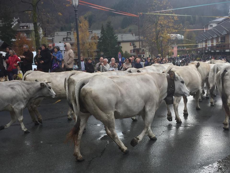 Boitano: «La Transumanza importante risorsa turistica per l’intera Val d’Aveto»