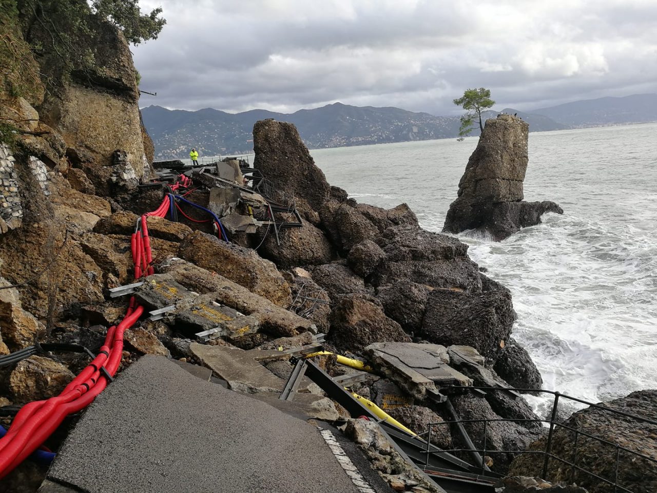 “Pino della Carega”, ipotesi scultura in alternativa a reimpianto