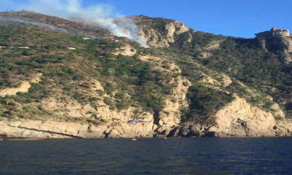 Incendio Parco Portofino, sanzionato escursionista
