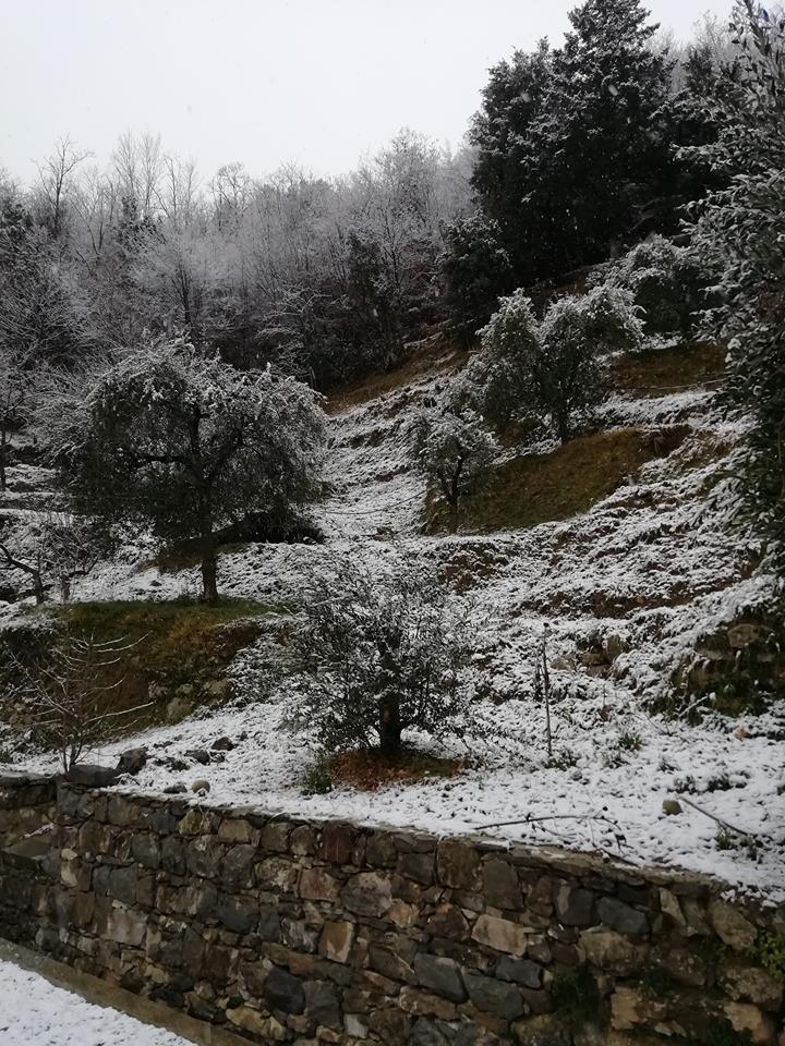 Oggi forte vento, domani gelate