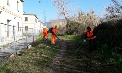 Continua la pulizia sul lungo Entella da parte della Pellicano Verde