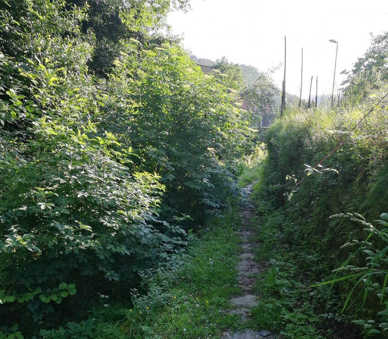 Lavagna, Valle dei Berissi:  via dei Mulini nel degrado più assoluto