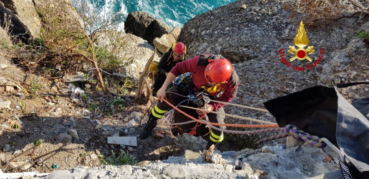 Cane salvato dai pompieri a Portofino
