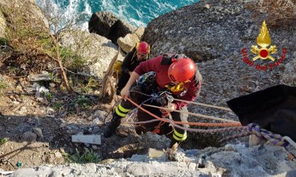 Cane salvato dai pompieri a Portofino