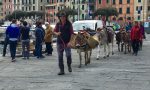 Santa Margherita, prosegue la settimana con gli asini