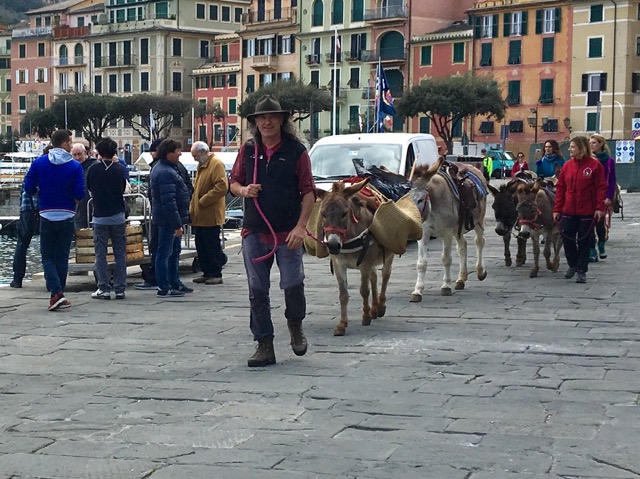 Santa Margherita, prosegue la settimana con gli asini
