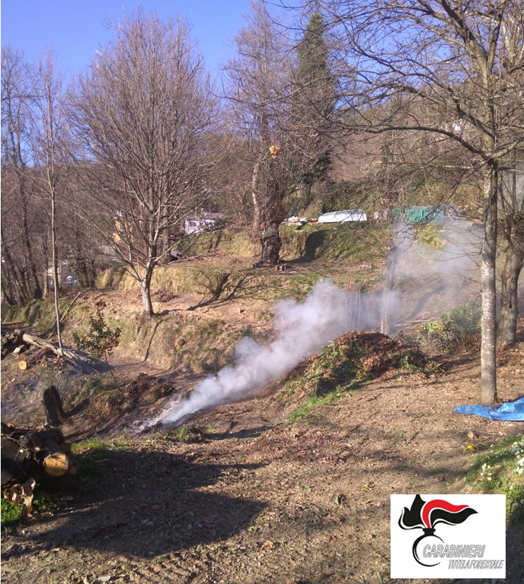 Incendio boschivo: due multe per 4mila euro