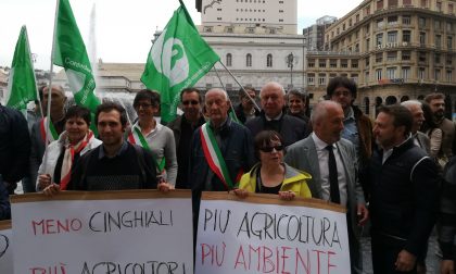 Boitano: "Danni ungulati le giuste proteste degli agricoltori"