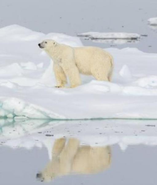 Profondo Nord, la mostra di Roberto Cella