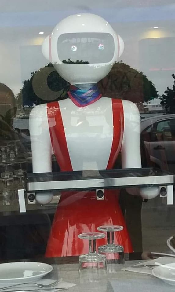 A Rapallo i primi camerieri robot della Liguria