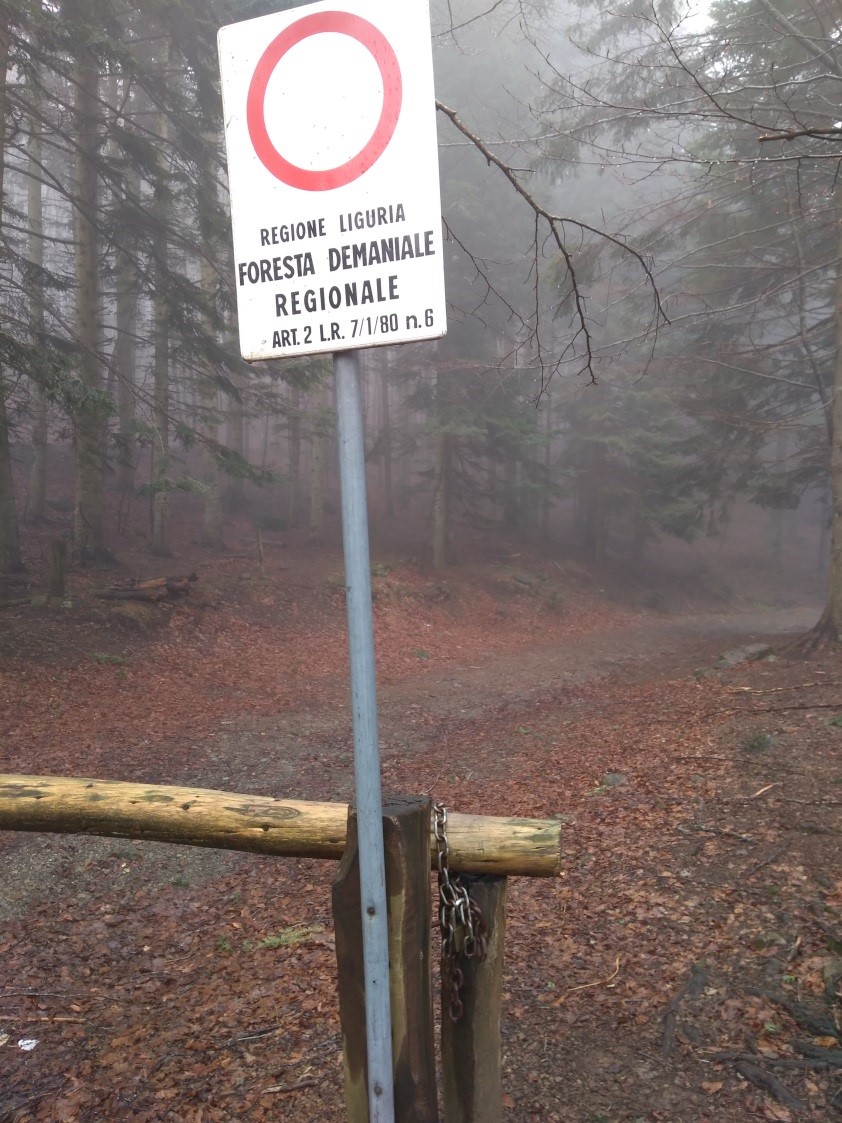 Parco naturale dell’Aveto, cacciatori al cinghiale nel “mirino” dei carabinieri forestali