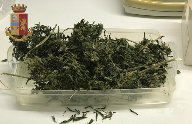 Spacciano droga, denunciati