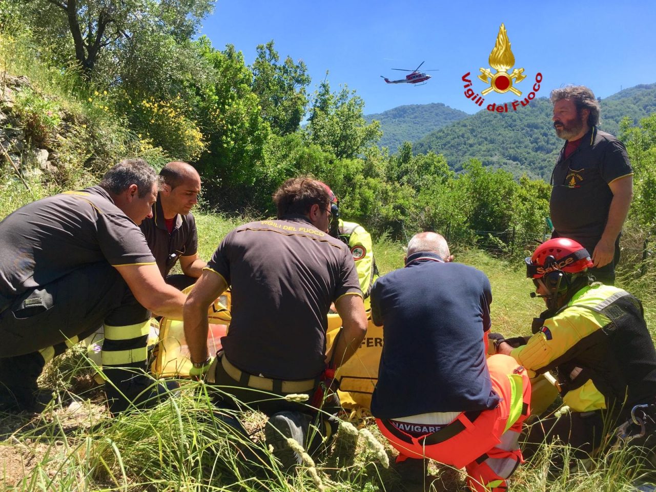 Tenta di liberare un capriolo intrappolato, si frattura tibia e caviglia