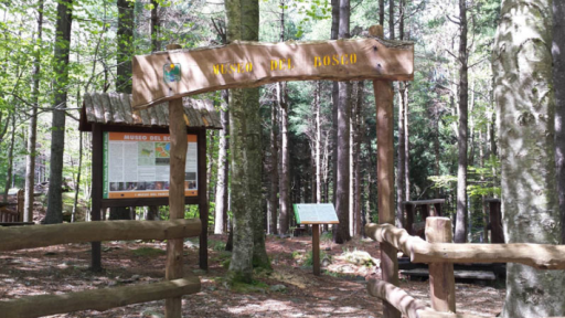 Giornata nazionale dei piccoli musei al Museo del Bosco