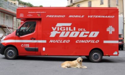 Consegnato ai Vigili del Fuoco il presidio veterinario mobile donato dai tassisti