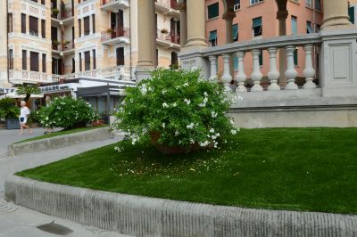 Aiuole di plastica: la sciagura continua