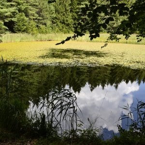 Rezzoaglio, giovedì 18 luglio visita alle Agoraie