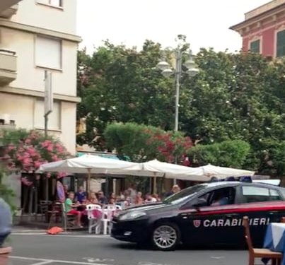 Cerca di dividere gli animali che si azzuffano, morso ad una mano