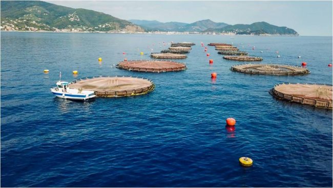 Lavagna, il Tar annulla il no del Comune ad Aqua sulla concessione marittima