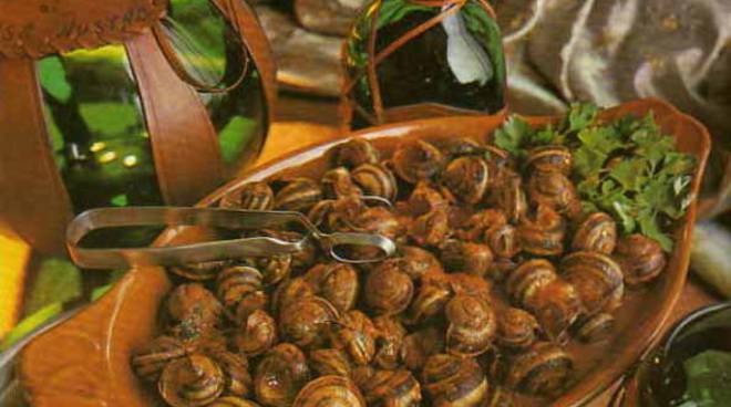 “No alle lumache alle sagre”, l’appello di OSA